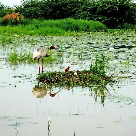 Ibishouse Farm Stay Bharatpur Εξωτερικό φωτογραφία