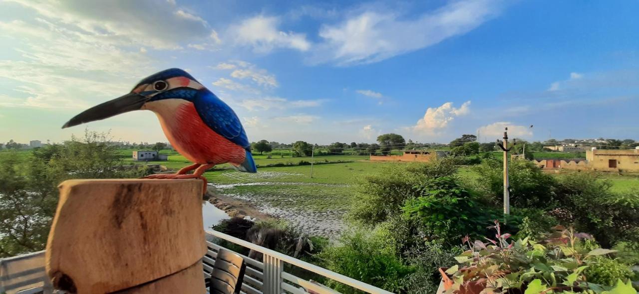 Ibishouse Farm Stay Bharatpur Εξωτερικό φωτογραφία