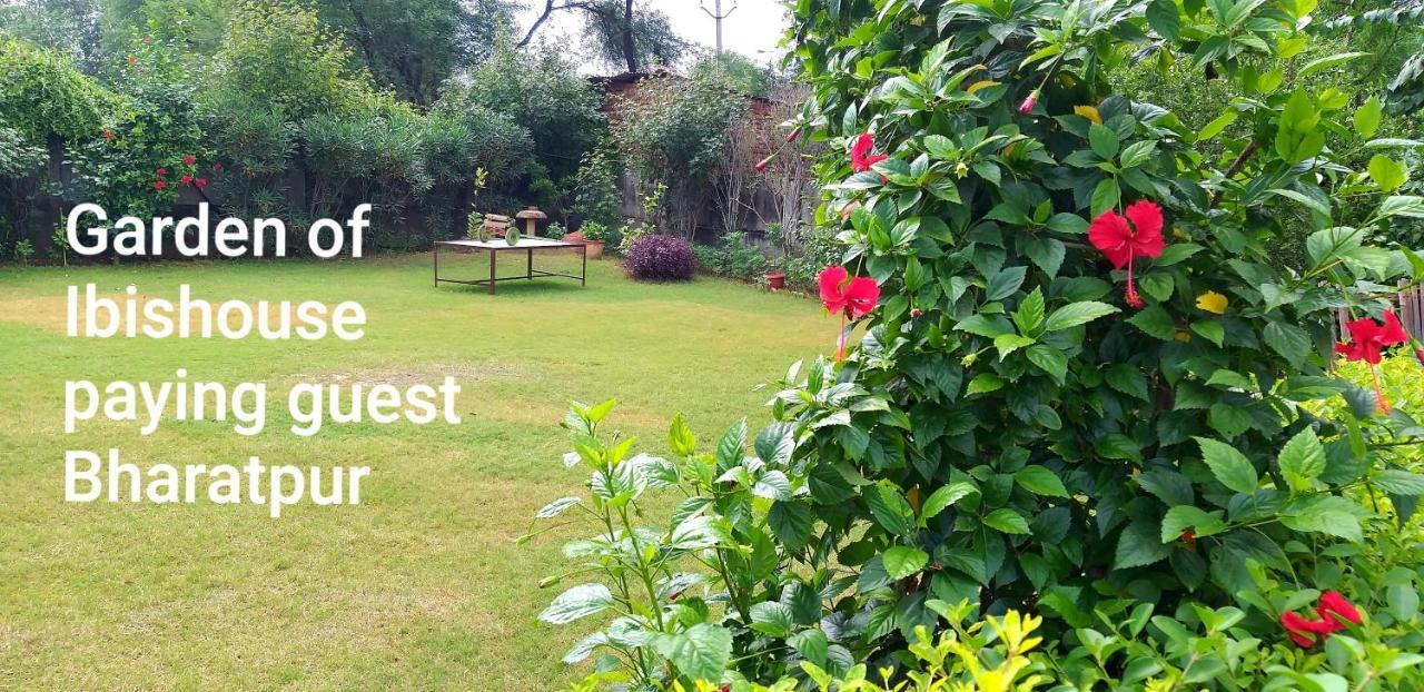 Ibishouse Farm Stay Bharatpur Εξωτερικό φωτογραφία