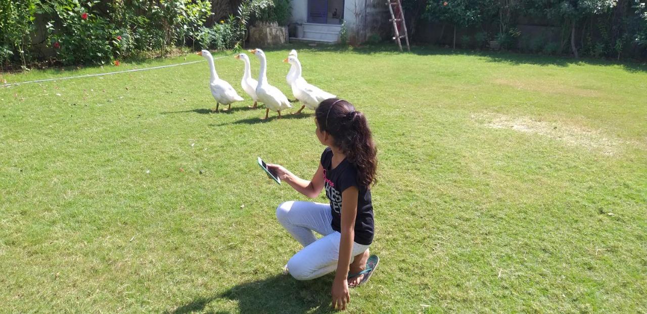 Ibishouse Farm Stay Bharatpur Εξωτερικό φωτογραφία
