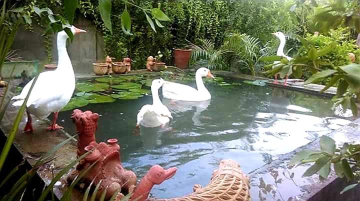 Ibishouse Farm Stay Bharatpur Εξωτερικό φωτογραφία