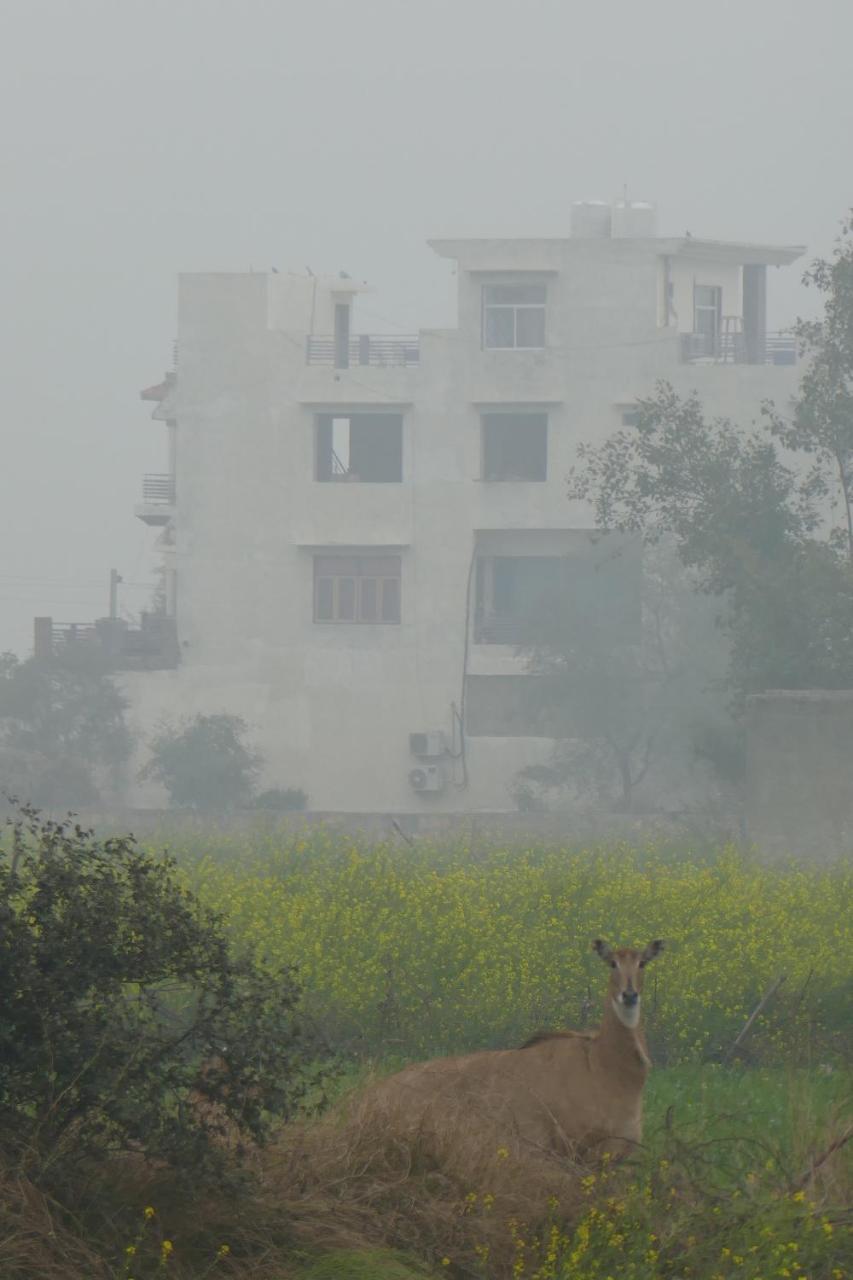 Ibishouse Farm Stay Bharatpur Εξωτερικό φωτογραφία
